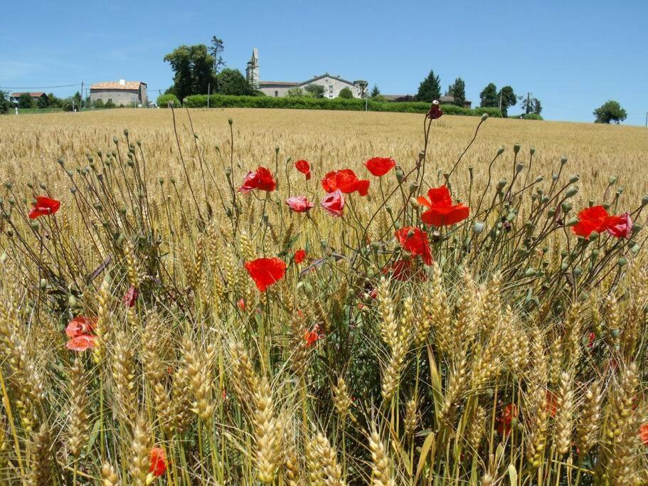 La Maison Des Coteaux Villa Ruffiac  Esterno foto